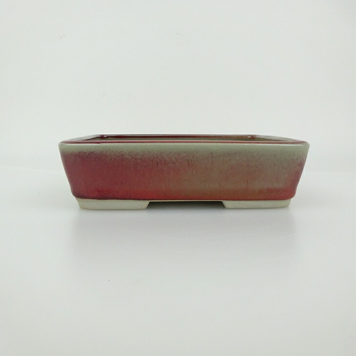 青香　長方　盆栽鉢 青香長方盆栽鉢