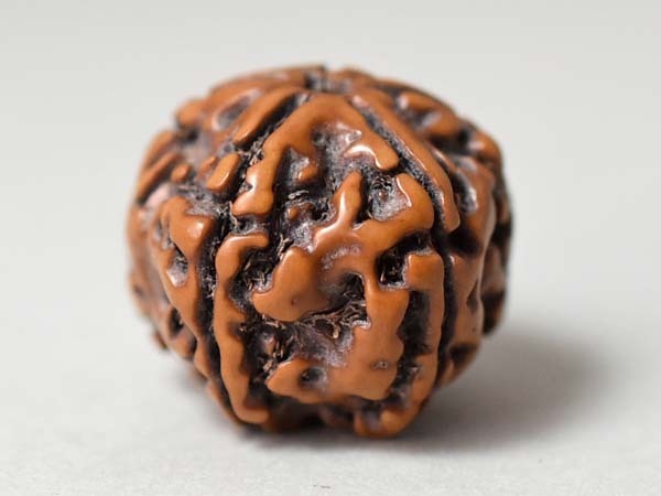 1611】ルドラクシャビーズ4 金剛菩提樹の実13個,とんぼ玉