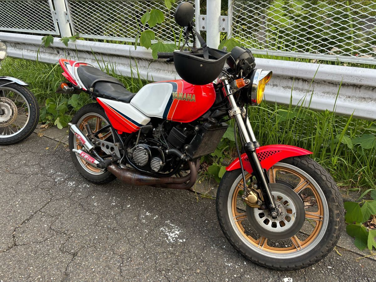 Yahoo!オークション -「rz250 外装」(タンク) (パーツ)の落札 Yahoo!オークション -「rz250 外装」(タンク) (パーツ)の落札
