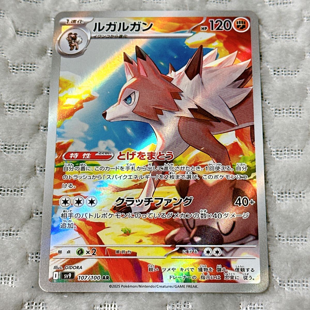 ルガルガンGX(062/049 HR) | HR | ドラゴンスター ネット買取