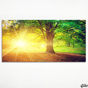 【シンプルな空間にも華やかに映える壁掛けアート】アートパネル 40x80cm 木の絵 風景画 インテリア 室内装飾 プレゼント