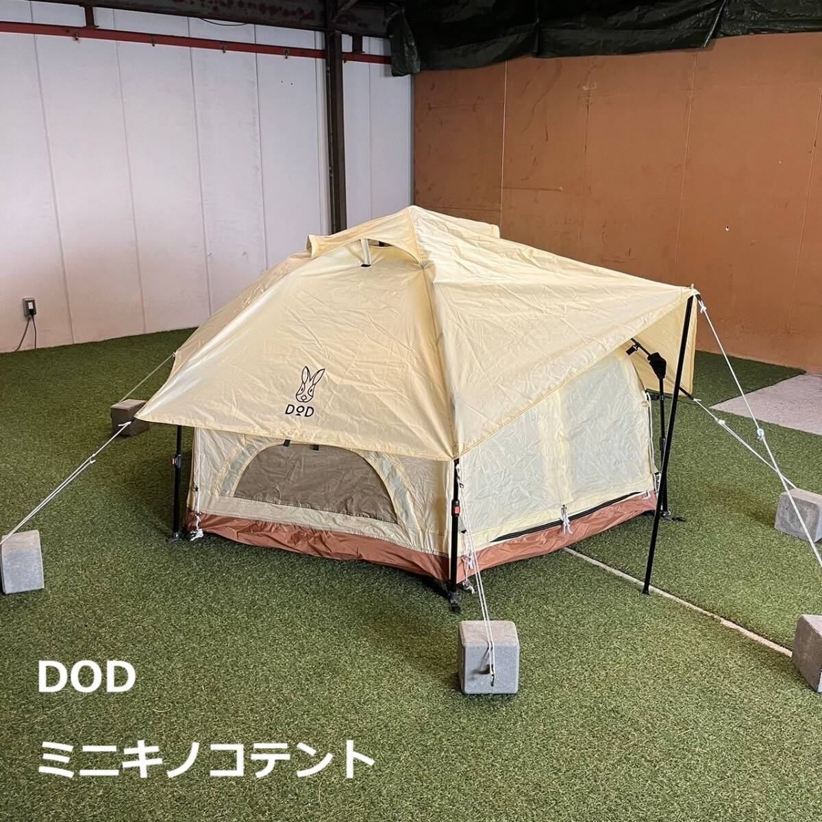 2025年最新】Yahoo!オークション -キノコテント dodの中古品 2025年最新】Yahoo!オークション -キノコテント dodの中古品
