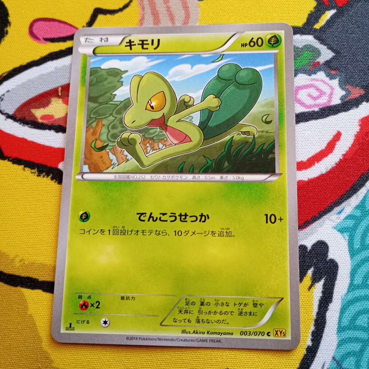 Yahoo!オークション -「ポケモンカード キモリ」の落札相場 Yahoo!オークション -「ポケモンカード キモリ」の落札相場