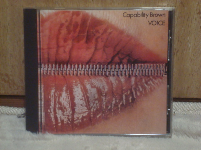 その他 LP Capability Brown Voice RJ7223 CHARISMA /00260 CAPABILITY BROWN From Scratch 1972 LP Charisma CAS 1056