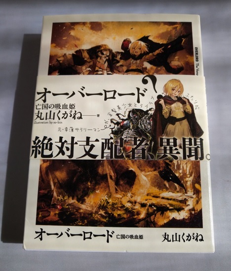 2025年最新】Yahoo!オークション -オーバーロード 小説の中古品 2025年最新】Yahoo!オークション -オーバーロード 小説の中古品