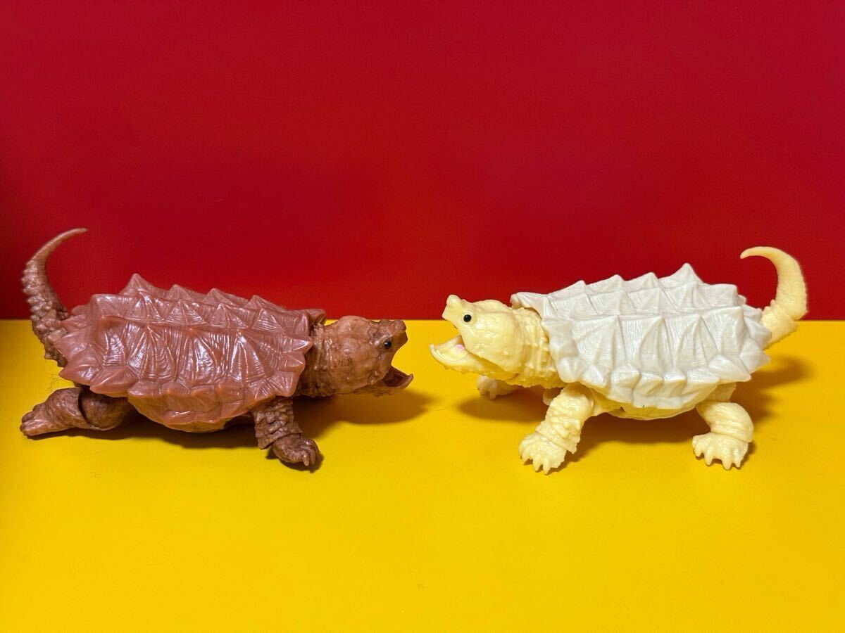 2025年最新】Yahoo!オークション -ワニガメ フィギュアの中古品 2025年最新】Yahoo!オークション -ワニガメ フィギュアの中古品
