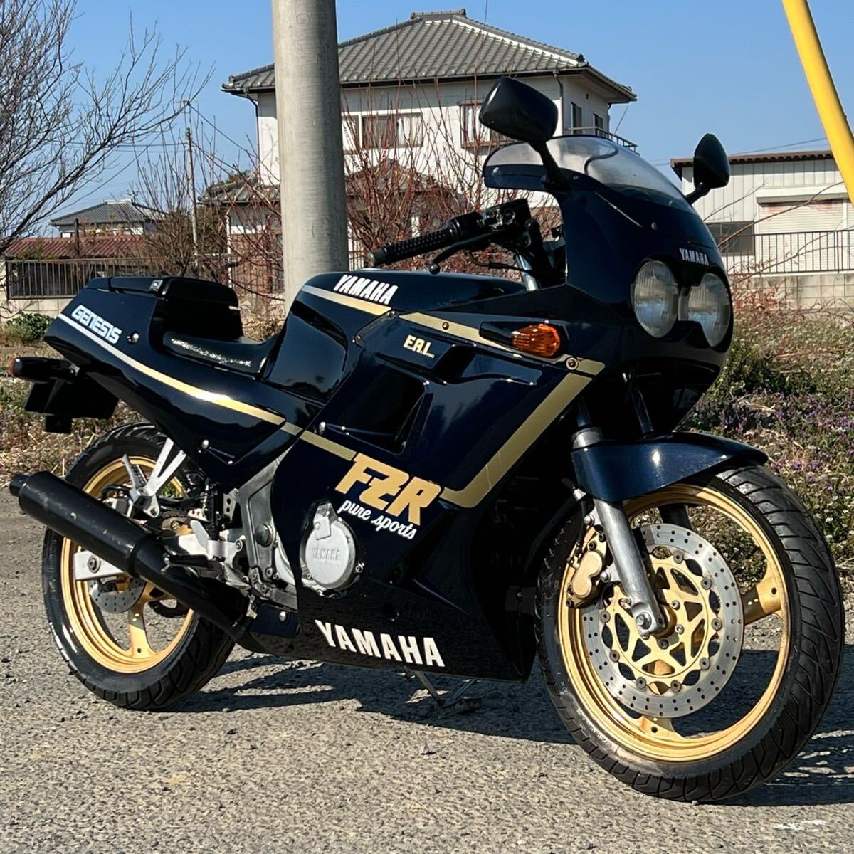 Yahoo!オークション -「fz250」(ヤマハ) (オートバイ車体)の落札 Yahoo!オークション -「fz250」(ヤマハ) (オートバイ車体)の落札