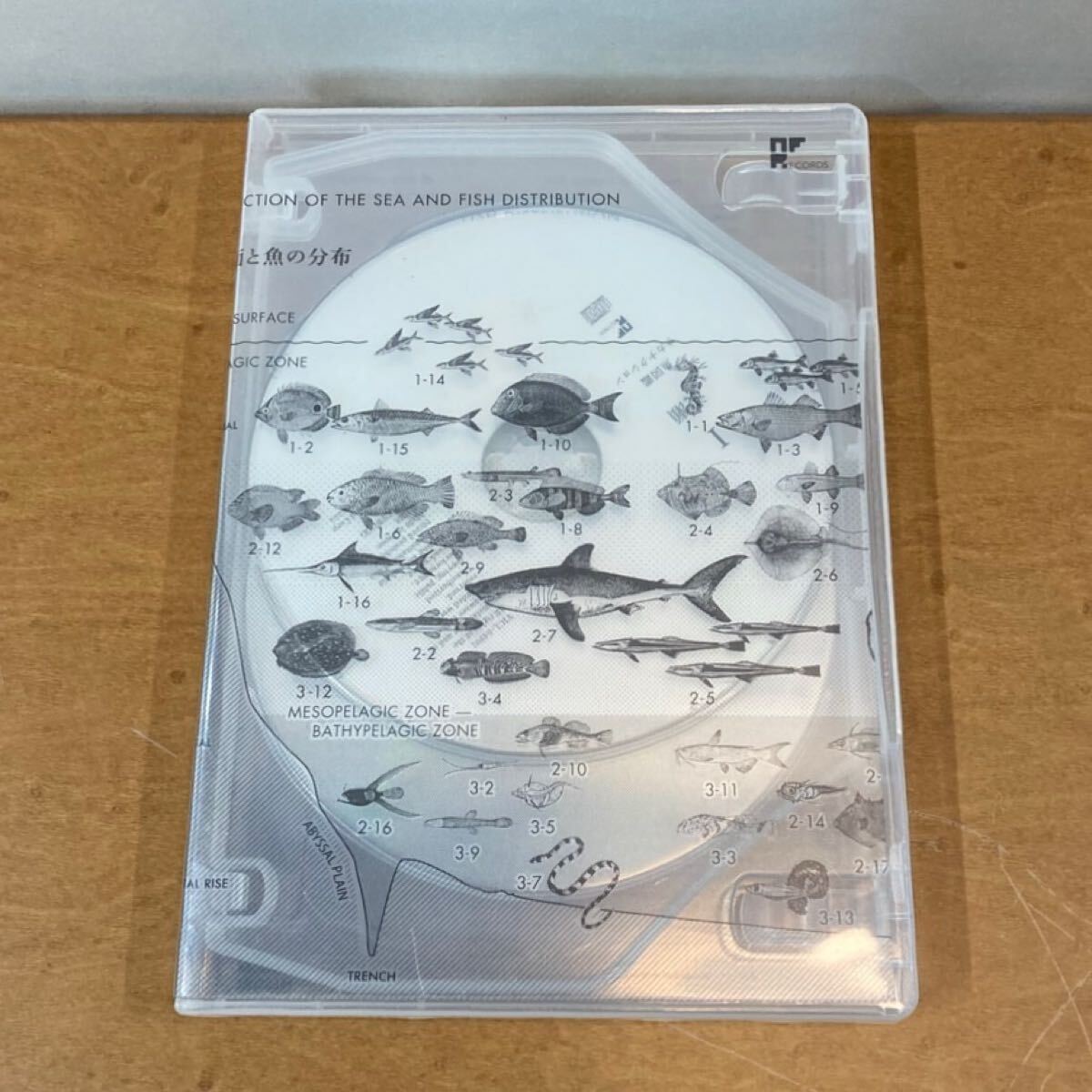 Yahoo!オークション -「サカナクション 魚図鑑 完全生産限定 Yahoo!オークション -「サカナクション 魚図鑑 完全生産限定