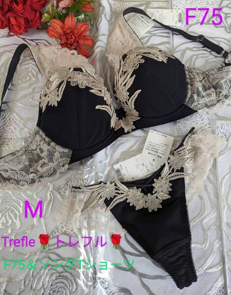 Wacoal/ワコール/Trefle/トレフル/72G/72グループ/フランス女優/F75&ソングTバックショーツ/セット/KO/ネイビー/BBF472/PBF472/一番人気色