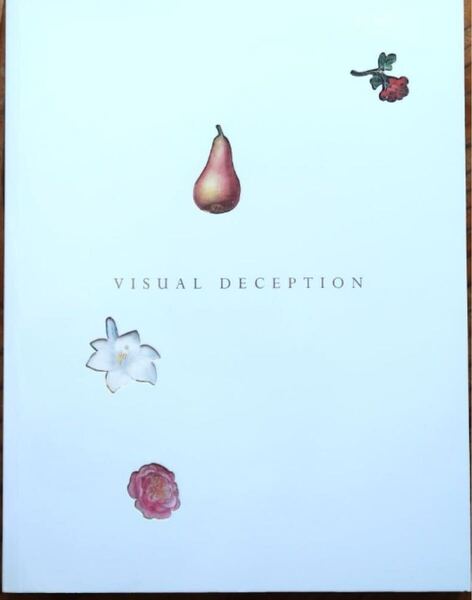 「VISUAL DECEPTION だまし絵展」図録 マグリット、エッシャー 【送料無料 匿名配送】