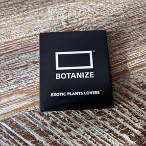 BOTANIZE CAUDEX MAGNET #4 パキポディウム ウィンゾリー(ボタナイズ・マグネット)
