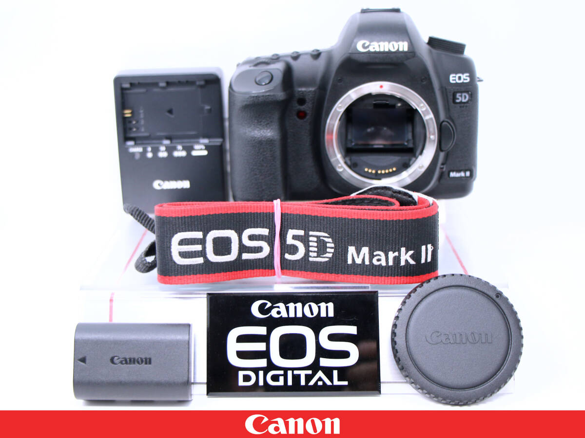 2025年最新】Yahoo!オークション -eos 5d mark iiの中古品・新品 2025年最新】Yahoo!オークション -eos 5d mark iiの中古品・新品