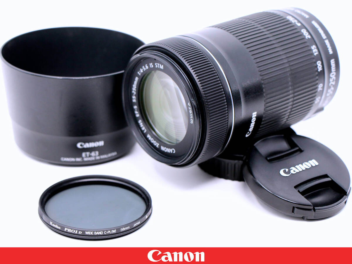 2025年最新】Yahoo!オークション -ef-s55-250mm f4-5.6 is stmの 2025年最新】Yahoo!オークション -ef-s55-250mm f4-5.6 is stmの