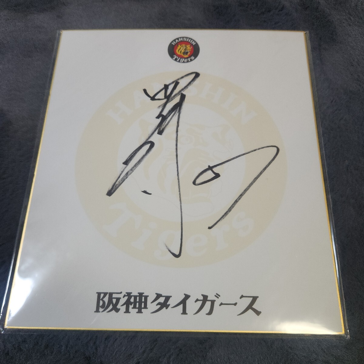 2025年最新】Yahoo!オークション -岡崎太一の中古品・新品・未 2025年最新】Yahoo!オークション -岡崎太一の中古品・新品・未