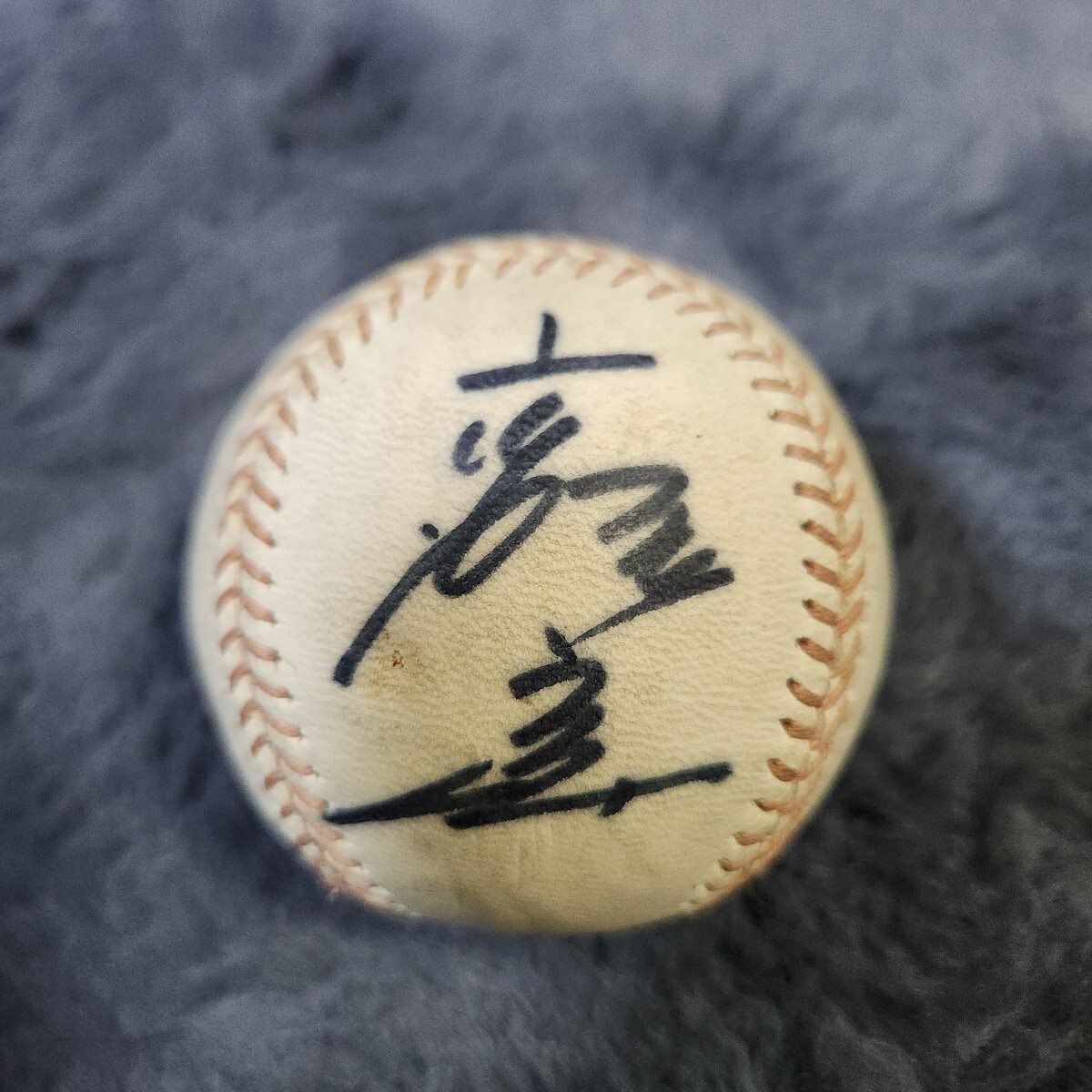 2025年最新】Yahoo!オークション -南海ホークス(記念品、関連グッズ)の