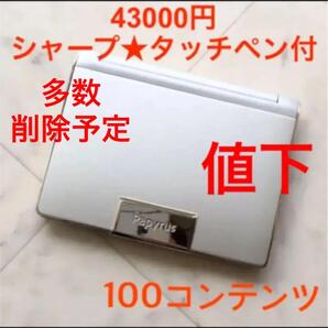 売り切り値下■定価4.3万■ほぼ未使用■値下シャープ 電子辞書/受験 英会話CASIO カシオ
