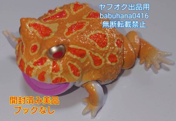 即決■開封済み美品■バンダイ いきもの大図鑑レプティ ツノガエルとアメフクラガエル■クランウェルツノガエル(アルビノイエロー)単品