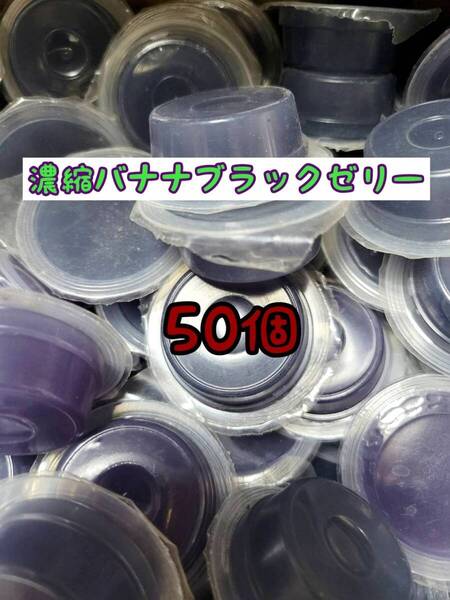 濃縮バナナブラックゼリーワイドS16g 50個 フジコン 昆虫ゼリー オオクワ カブトムシ ヘラクレス ハリネズミ ハムスター 小動物 モモンガ