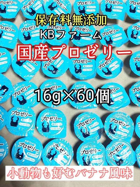 KBファーム 国産プロゼリー16g 60個 カブトムシ クワガタ 昆虫