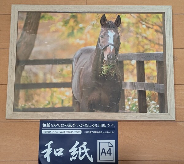 【今注目!!】オジュウチョウサン(モグパクNo.1)A4額縁写真〜和紙印刷 ※購入特典付き