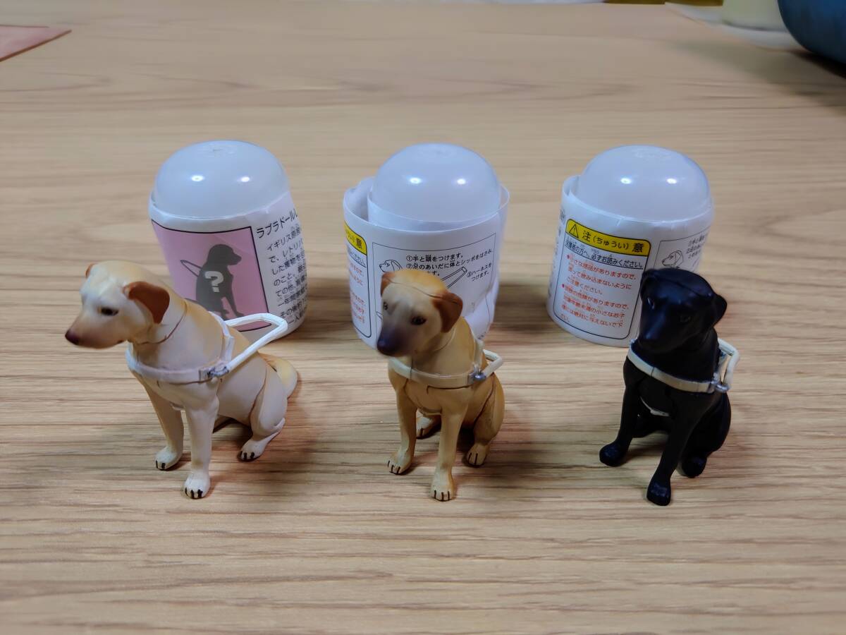 Yahoo!オークション -「チョコエッグ 盲導犬」の落札相場・落札価格 Yahoo!オークション -「チョコエッグ 盲導犬」の落札相場・落札価格