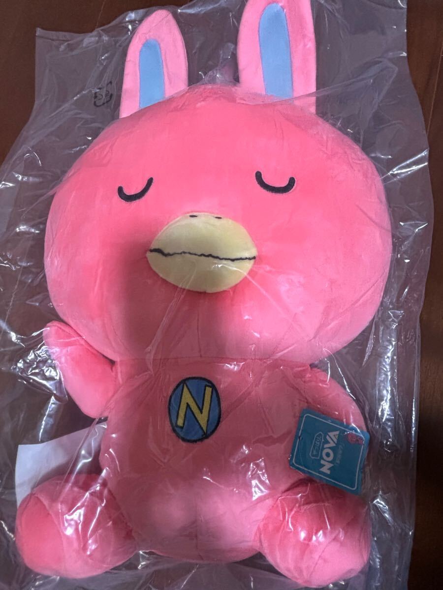 2025年最新】Yahoo!オークション -novaうさぎ ぬいぐるみの中古