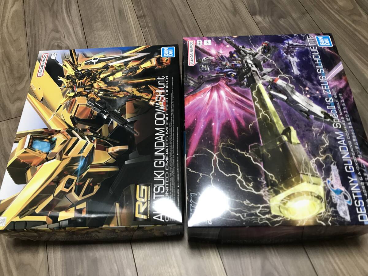 2025年最新】Yahoo!オークション -hg デスティニーガンダム