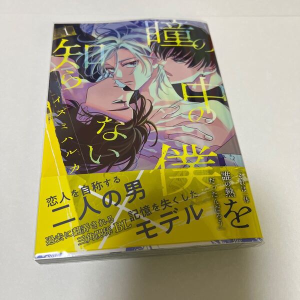 BL 4134 瞳の中の僕を知らない①…イズミハルカ