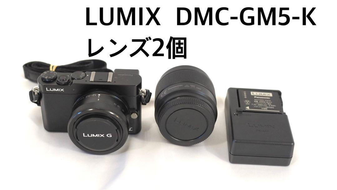 Yahoo!オークション -「lumix gm5 レンズ」(ミラーレス一眼 Yahoo!オークション -「lumix gm5 レンズ」(ミラーレス一眼