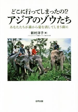 2025年最新】Yahoo!オークション -アジアゾウの中古品・新品・未 2025年最新】Yahoo!オークション -アジアゾウの中古品・新品・未