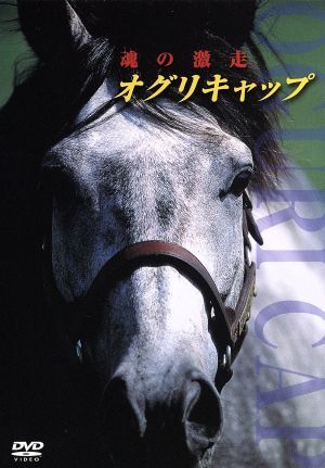 ナ489 中央競馬黄金伝説 ~オグリキャップ奇跡のラストラン