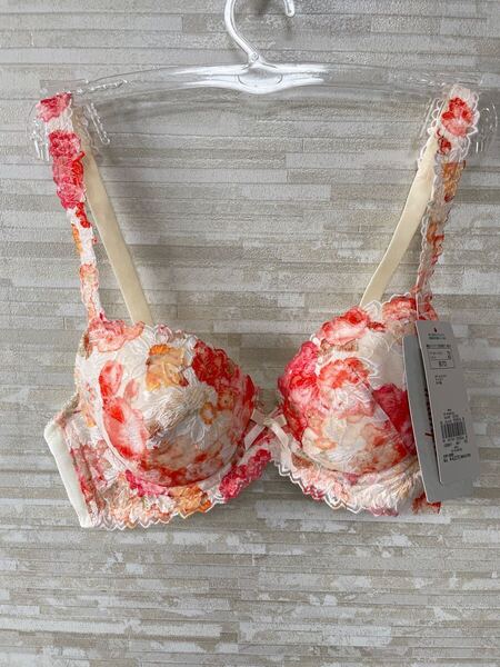 「B70」トリンプ 水彩画のような多色が重なり合う幻想的なブラジャー