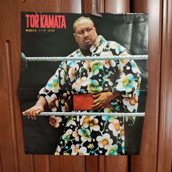 流血大王 トーアカマタ TOR KAMATA ボブバックランド リッキーギブソン Bob Backlund Ricky Gibson 25.5×31㎝ A7