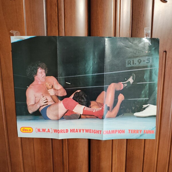 NWA 世界ヘビー級選手権者 テリーファンク TERRY FUNK NWA WORLD HEAVY WEIGHT CHAMPION NATIONAL WRESTLING ALLIANCE 25.5×36㎝ A12