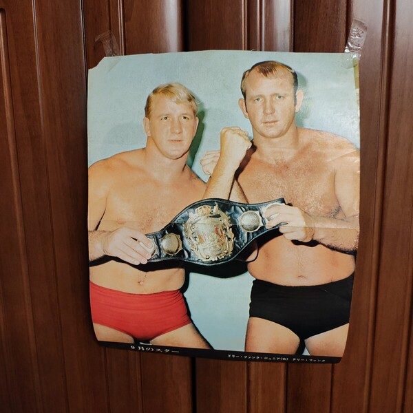 ザ ファンクス テリーファンク ドリーファンクジュニア TERRY FUNK DORY FUNK jr NWA 世界ヘビー級選手権者 25.5×31㎝ A26