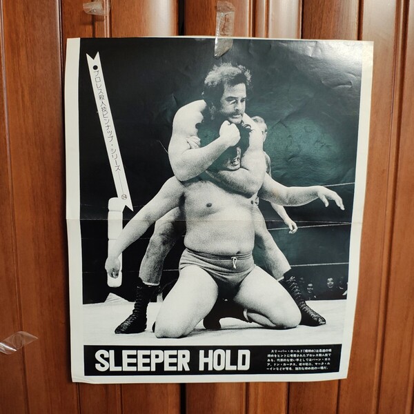 SLEEPER HOLD 裸締め マークルーイン プロレス殺人技ピンナップシリーズ NO.24 25.5×31㎝ A30