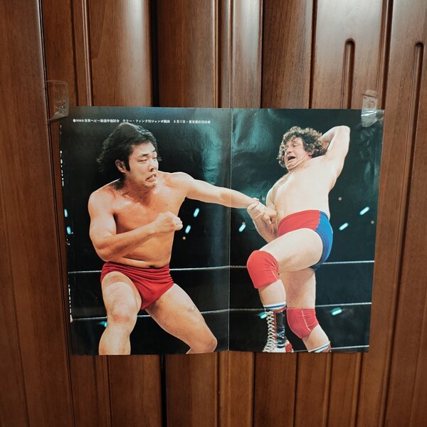 テリーファンク 対 J鶴田 昭和51年年6月11日 東京蔵前 ジャンボ鶴田 試練の十番勝負 第三戦 NWA テリーファンク サイン入り A27 25.5×31㎝