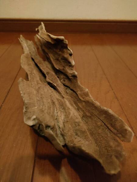 ☆天然流木 水槽 1点物 アクアリウム オブジェ アート 60×13.5×11cm 大和川 河口 爬虫類 めだか 魚 トカゲ ヘビ 老木