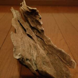 ☆天然流木 水槽 1点物 アクアリウム オブジェ アート 60×13.5×11cm 大和川 河口 爬虫類 めだか 魚 トカゲ ヘビ 老木