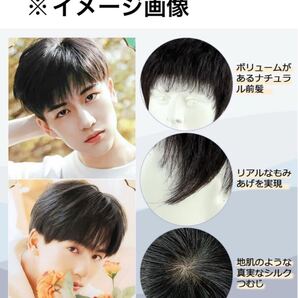 y021407a ウィッグ メンズ 人毛 ショート カツラ メンズ 人毛