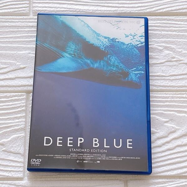 DVD ディープブルー DEEP BLUE スタンダードエディション 海