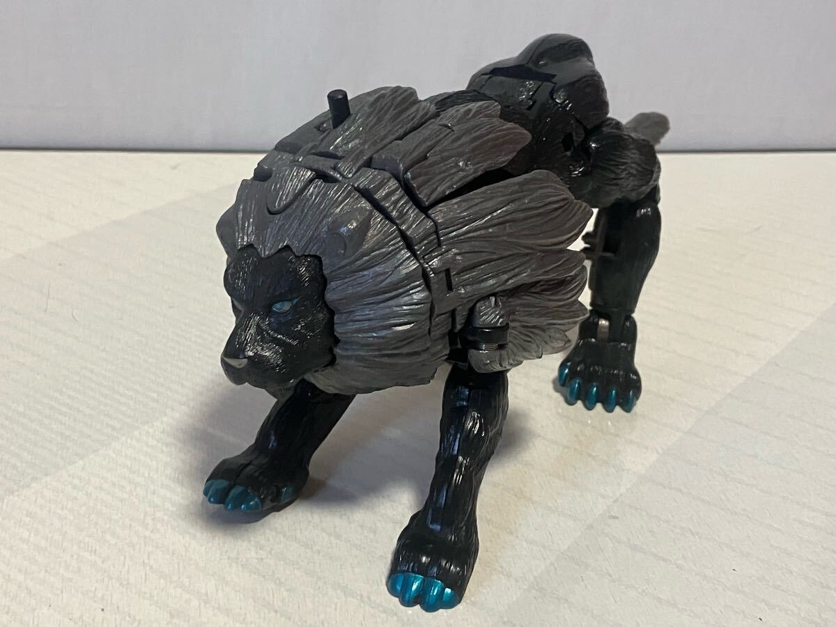 Amazon.co.jp: , トイザらス限定 ボンボンオリジナル