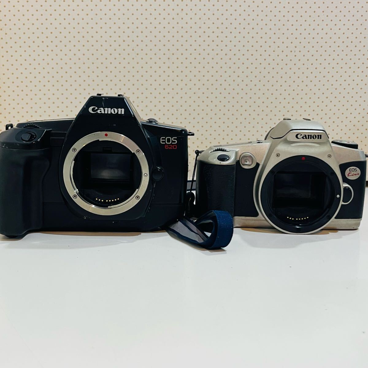 Yahoo!オークション -「canon eos620」の落札相場・落札価格 Yahoo!オークション -「canon eos620」の落札相場・落札価格