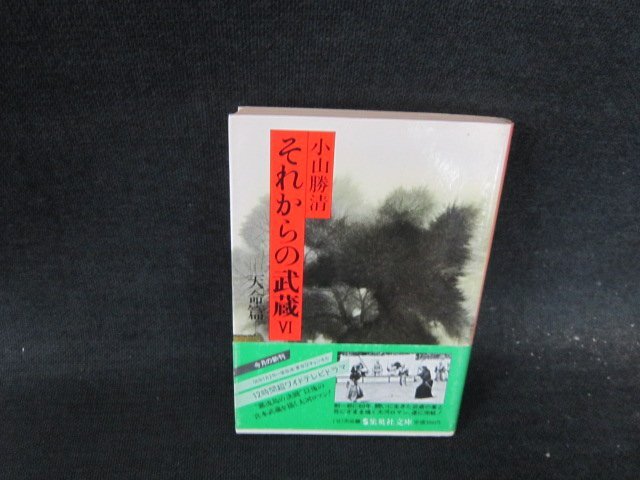 2025年最新】Yahoo!オークション -それからの武蔵 6の中古品