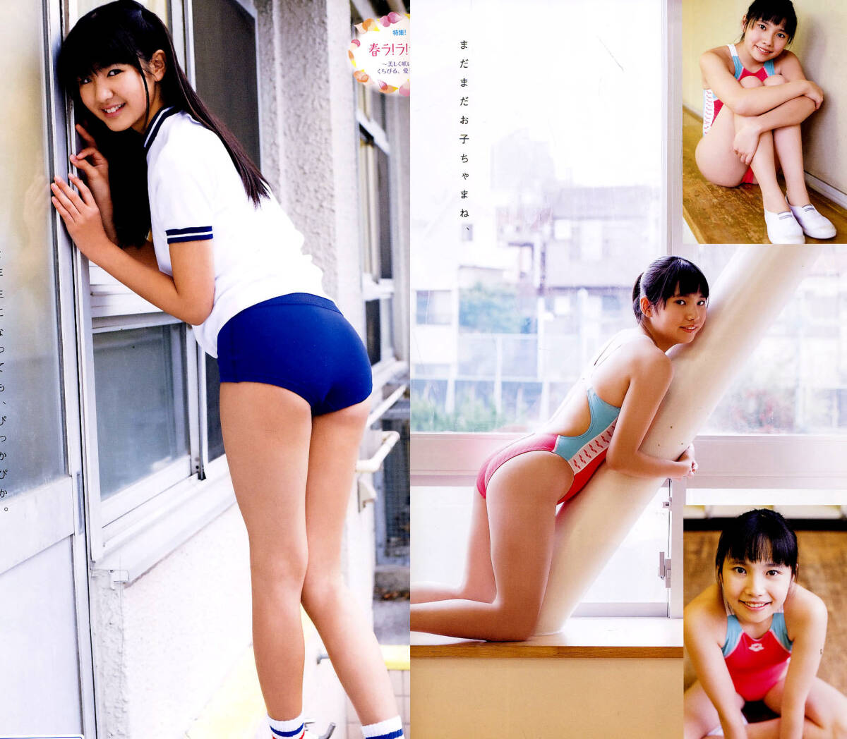2025年最新】Yahoo!オークション -木村葉月 dvd(複数被写体)の