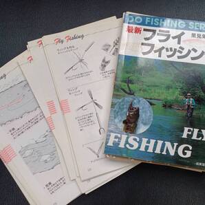 【裁断済】 最新フライフィッシング (DO FISHING SERIES)
