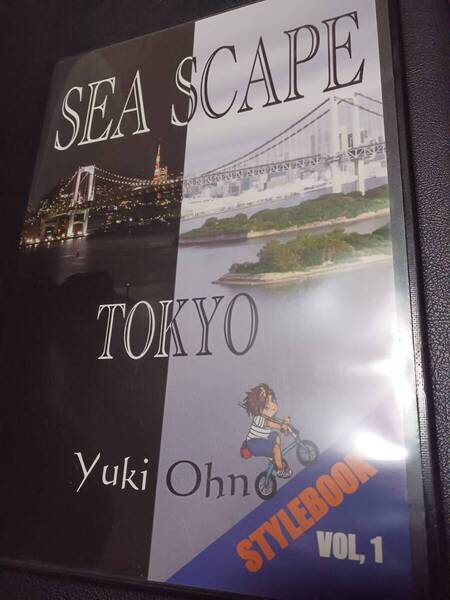 DVD SEA SCAPE TOKYO 大野ゆうき シーバス 釣りDVD 湾奥