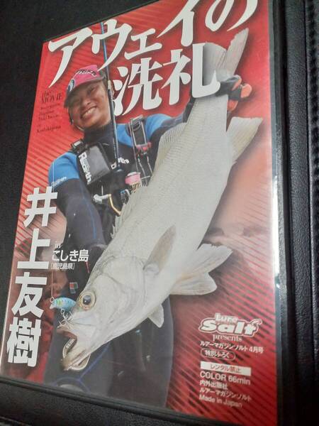 DVD アウェイの洗礼 井上友樹 inこしき島 鹿児島県 シーバス