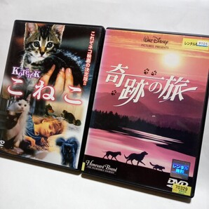 DVD 奇跡の旅/こねこ 日本動物愛護協会推薦2作品