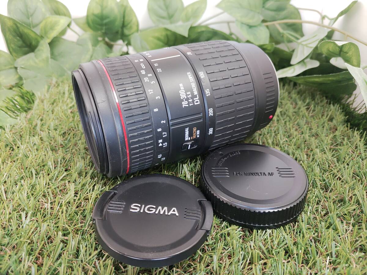 2025年最新】Yahoo!オークション -sigma 70-300 dl macroの中古 2025年最新】Yahoo!オークション -sigma 70-300 dl macroの中古